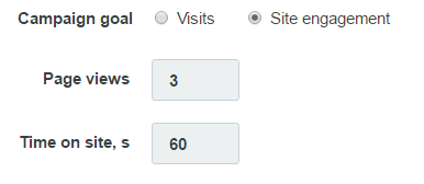 Audience traffic campaign goal settings with page views and time on site